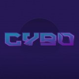 cybr预约