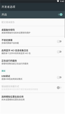 开发者模式
