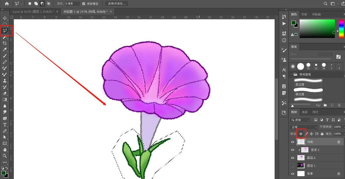 photoshop牵牛花插画绘制流程