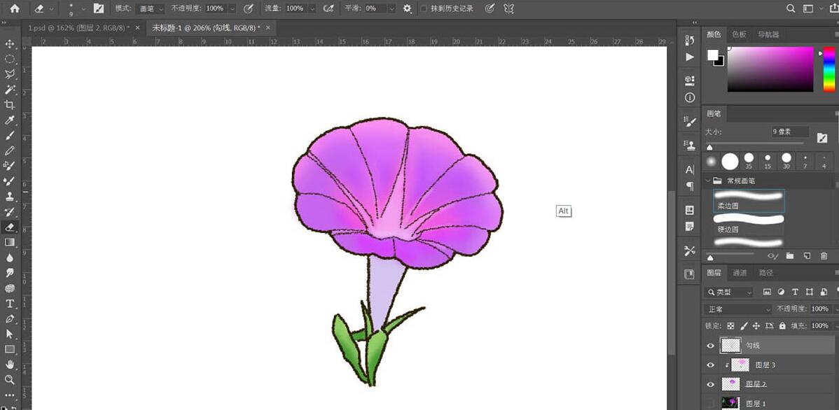 photoshop牵牛花插画绘制流程