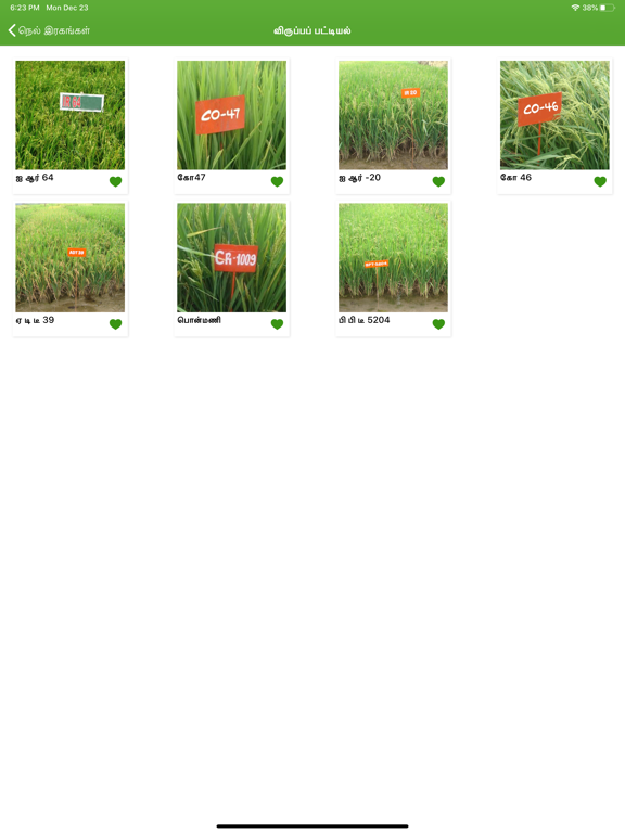 paddy varieties