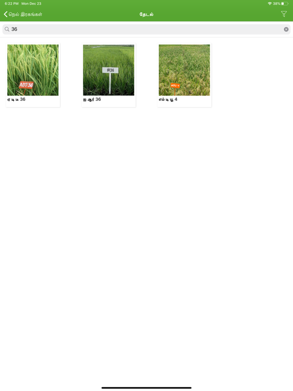 paddy varieties