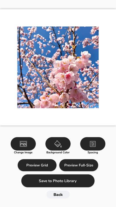 grid spacer