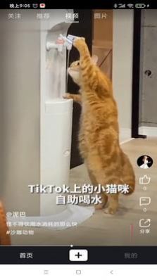 夜逅同城线上交友
