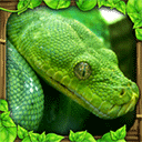 蟒蛇模拟器最新版(snake sim)