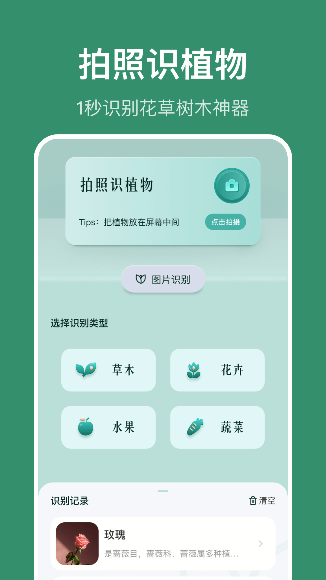 识花草拍照识别花