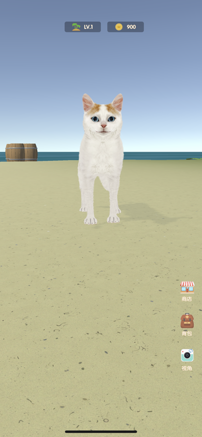 猫咪与小岛