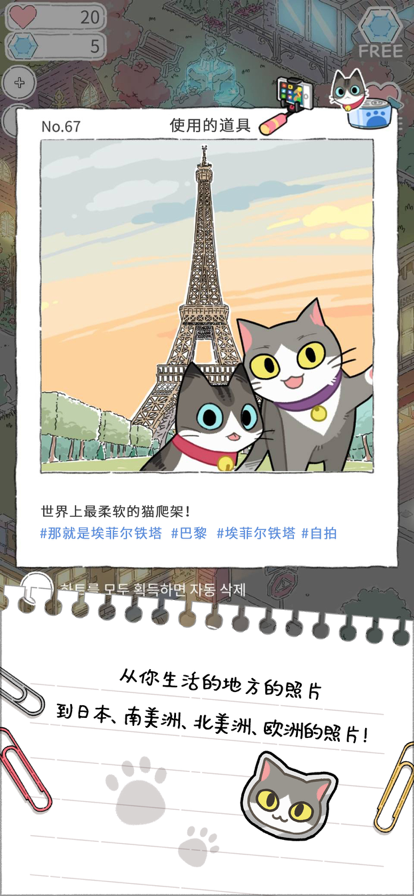 猫友圈猫咪的旅行