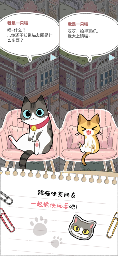猫友圈猫咪的旅行