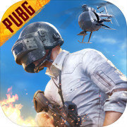 pubg国际服手游 2.