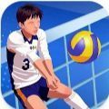 排球全明星竞技(volleyball arena:all star)