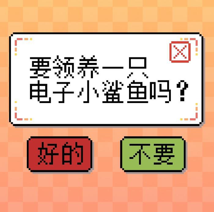 领养电子小鲨鱼
