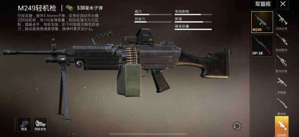 和平精英大菠萝什么枪