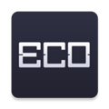 eco steam